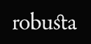 Robusta Studio