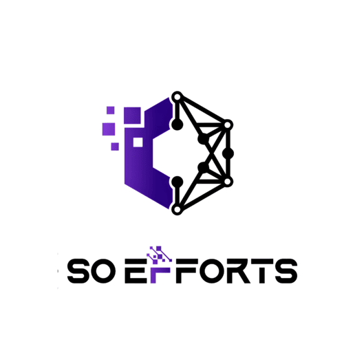 SO Efforts Solution