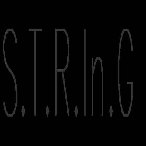 STRINGLAB TECHNOLOGY SOLUTIONS Pvt. Ltd.