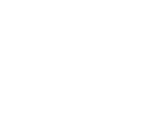 The Bubble Co