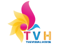 The Visual House