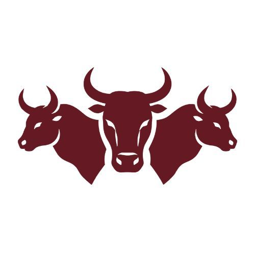 Three Bulls