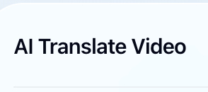 Translate A Video