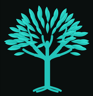Turquoise Tree Studio