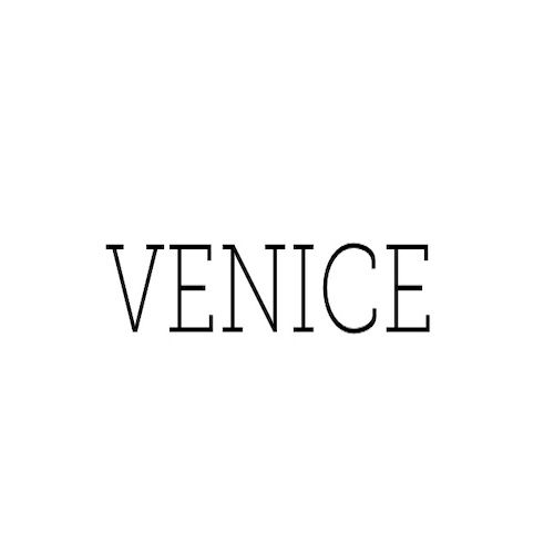 Venice Digital Ltd