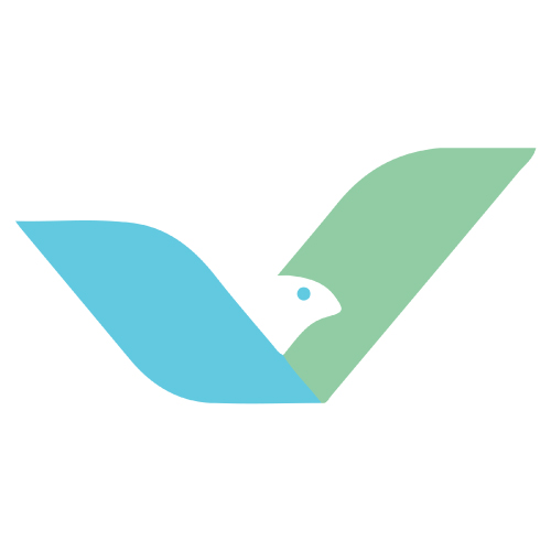 VinBooksCPA Professional Corporation