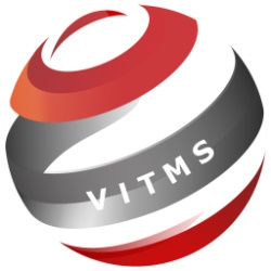 Virtual IT Managed Services