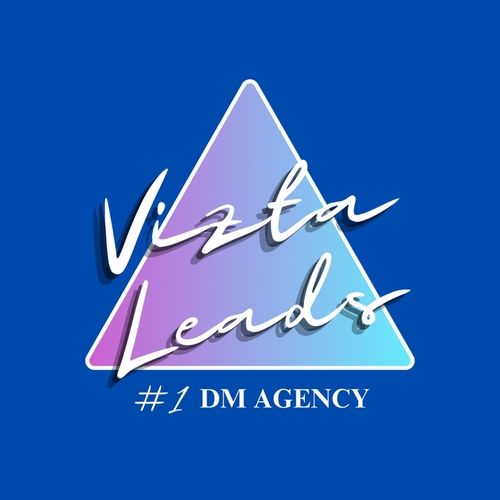 Vizta Leads