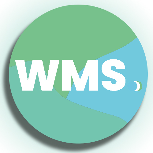 Winning Marketing Strategies