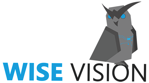 Wise Vision