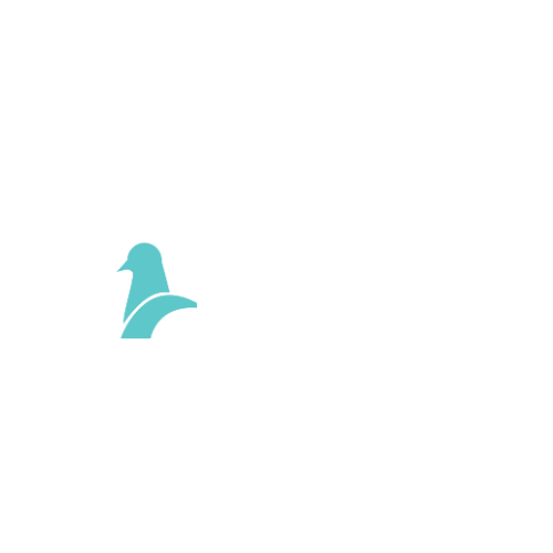 Ygeon Digital