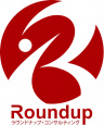 Roundup Web Consulting