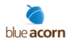 Blue Acorn, Inc.
