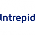"Intrepid Data Systems"