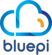 BluePi Consulting Pvt. Ltd.