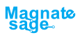 Magnatesage Technologies Pvt. Ltd.
