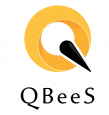 Qbees Solutions