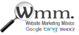 Website Marketing Mexico