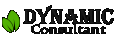 Dynamic Consultant