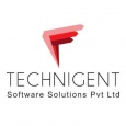 Technigent Software Solutions Pvt Ltd