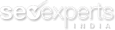 SeoexpertsIndia