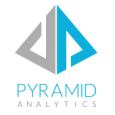 Pyramid Analytics