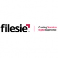 Filesie Systems (India) Private Limited