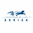 Auriga, Inc.
