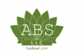 ABS LLC