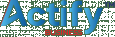 Actify Business