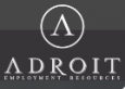 Adroit Staffing