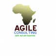 Agile Consulting Africa