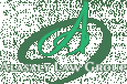 Alasaly Law Group