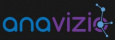Anavizio