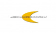 Anderson Management Consulting 