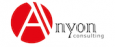 Anyon Consulting