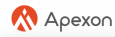 Apexon IT Services