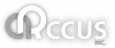 Arccus Inc