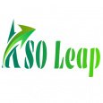 ASOLeap