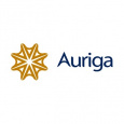 Auriga Consultants