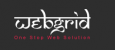Avantech Web Grid