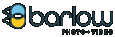 Barlow Productions