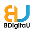 BDigitaU Digital Solutions Pvt Ltd