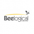 Bee Logical Software Solutions