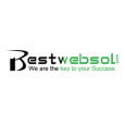 Best Web Solutions & Co.