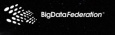 Big Data Federation