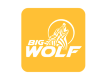 Big Wolf Marketing Ireland