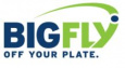 BigFly