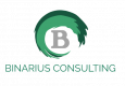 Binarius Consulting Inc.
