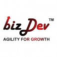BizDev Worldwide Ads